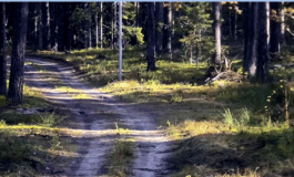 Spodziewali się migrantów, gdy nagle na ścieżce ...  (WIDEO)