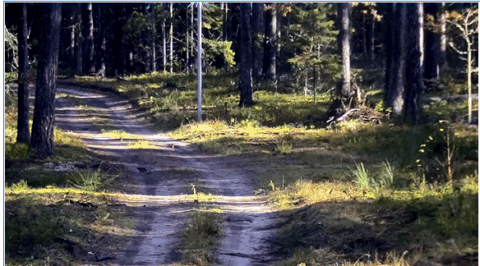 Spodziewali się migrantów, gdy nagle na ścieżce … (WIDEO)