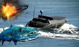 Barracuda uderzyła tylko raz! Więcej nie było potrzeby... (WIDEO)