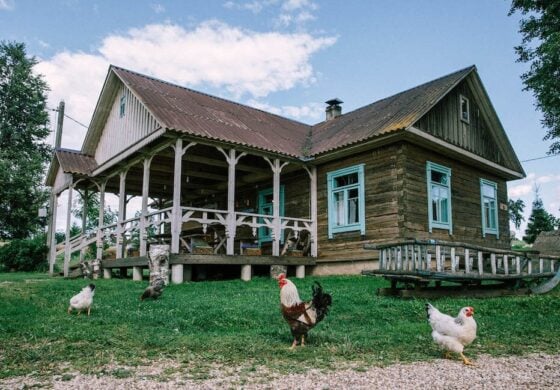 Polacy się o nie biją. Takie perełki sprzedają za bezcen!