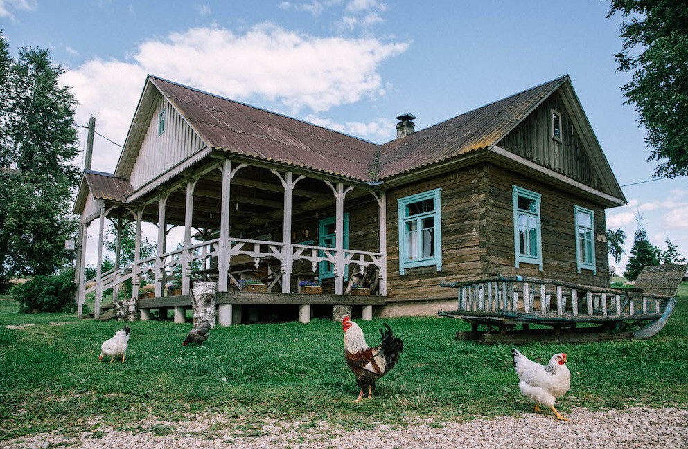 Polacy się o nie biją. Takie perełki sprzedają za bezcen!