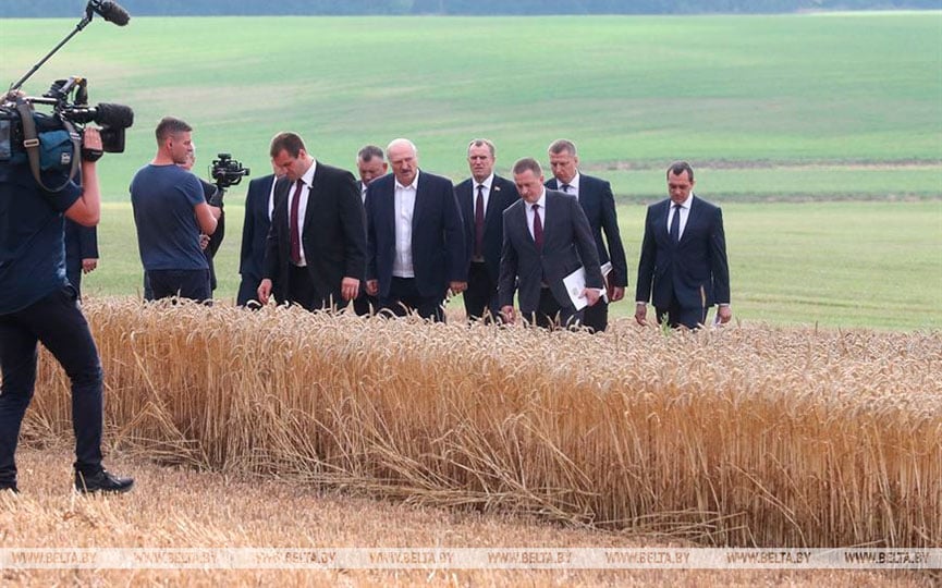 Aleksander Łukaszenka ze świtą na polu. Fot: belta.by