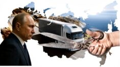 Zaprzęgać konie, transport zbankrutował! Paraliż ogarnia Rosję