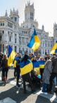 Ponad połowa Ukraińców sprzeciwia się ustępstwom wobec Rosji