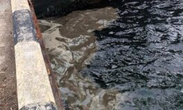 Dwa rosyjskie ataki w obwodzie odeskim spowodowały katastrofę ekologiczną