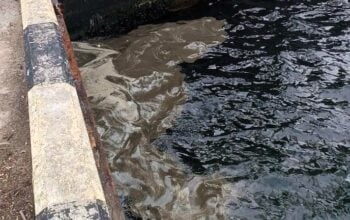 Dwa rosyjskie ataki w obwodzie odeskim spowodowały katastrofę ekologiczną