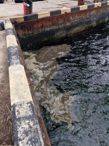 Dwa rosyjskie ataki w obwodzie odeskim spowodowały katastrofę ekologiczną