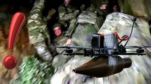 “Ptaszek Madziara” wleciał do ziemianki, a tam… (WIDEO)