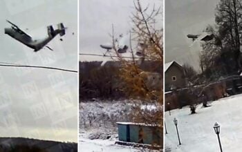 Za ciężki, za stary. Antek przegrał z grawitacją (WIDEO)