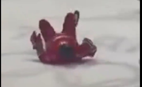 Spektakularny upadek. Łukaszenka runął jak długi i nie był w stanie się podnieść! (WIDEO)