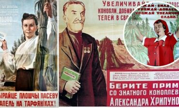 Kołchoźniku, poszerzaj uprawy konopi! Wsadzą babcię za "ziółka do herbatki"