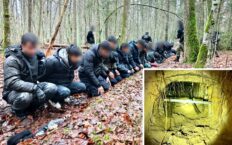 Szokujące odkrycie na granicy! Całe hordy wtargnęły do Polski z Białorusi (WIDEO)