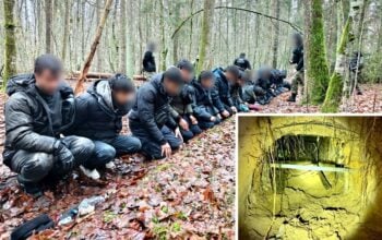 Szokujące odkrycie na granicy! Całe hordy wtargnęły do Polski z Białorusi (WIDEO)