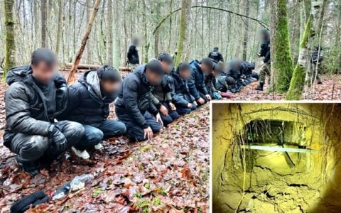 Szokujące odkrycie na granicy! Całe hordy wtargnęły do Polski z Białorusi (WIDEO)