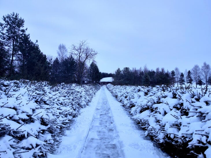 Zaosie, miejsce urodzenia Adama Mickiewicza. Fot: polesie.org