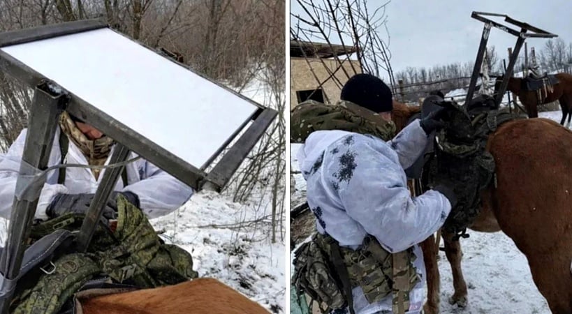 Screen - Special Kherson Cat - X