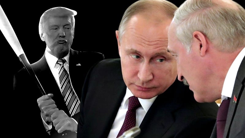 Collage / graf: Regnum