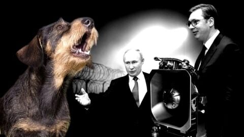 Testują na nich działa hukowe! Od tego pękają bębenki w uszach