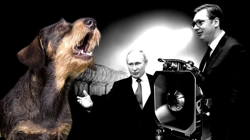 Collage AI / fot: TASS