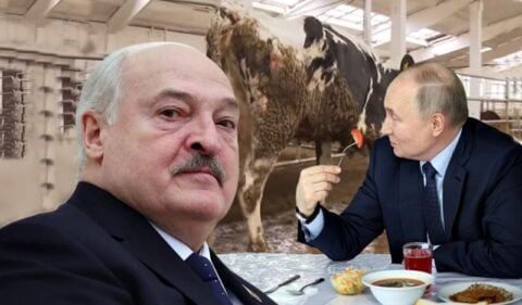 Łukaszenka w histerii! Gdzie krowy? Padły. Gdzie pomidory i ogórki? Ruscy zjedli