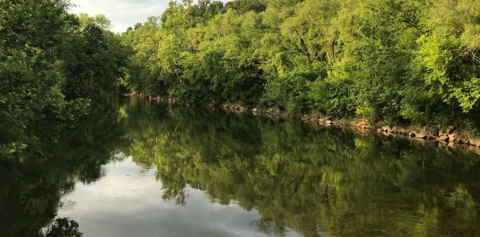 Wielki powrót żeglugi po Niemnie? Z Polski na Litwę via Białoruś