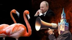 Pierwszy wielki alarm rakietowy w całej Rosji. “Flamingo nadlatują!”