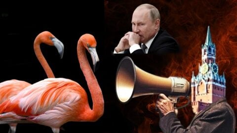 Pierwszy wielki alarm rakietowy w całej Rosji. “Flamingo nadlatują!”