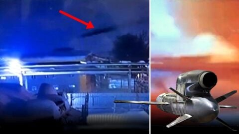 Flamingo rozniósł strategiczny zakład! Jest nagranie uderzenia (WIDEO)