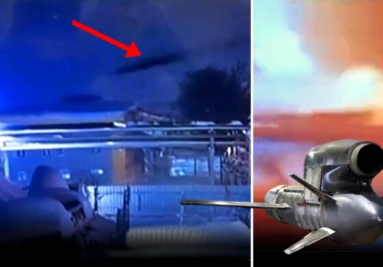 Flamingo rozniósł strategiczny zakład! Jest nagranie uderzenia (WIDEO)