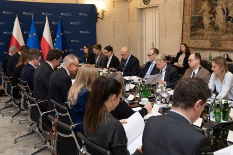 Idziemy po młodą Polonię!