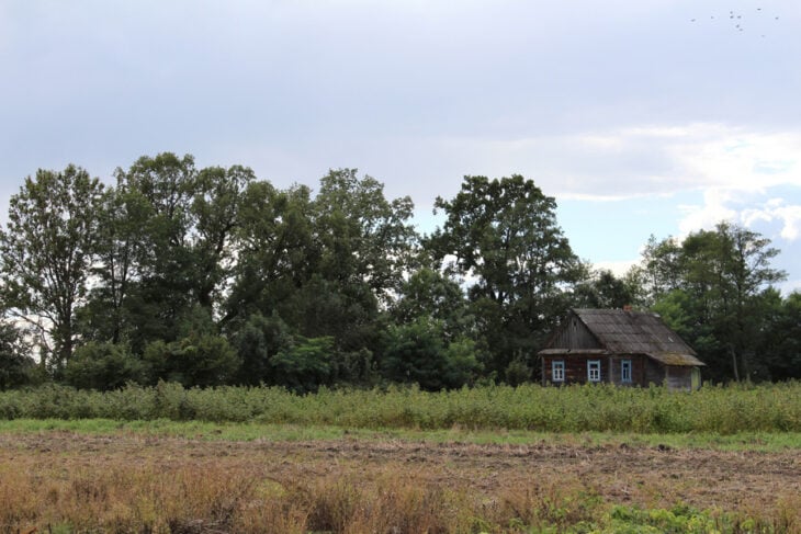 Pozostałości parkowe w okolicach dawnego dworu Orzeszków