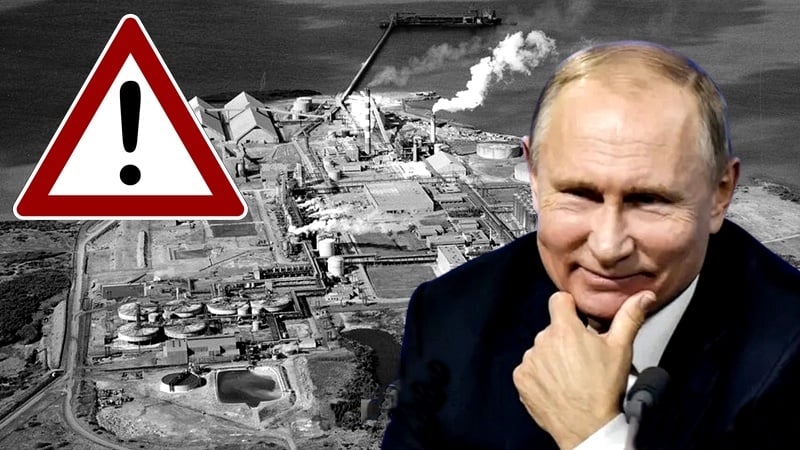 Collage / media społecznościowe