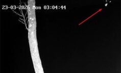 „Dron mnie obudził o 3:05”: szczegóły eksplozji niedaleko granicy z Białorusią