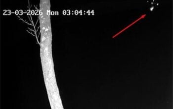 „Dron mnie obudził o 3:05”: szczegóły eksplozji niedaleko granicy z Białorusią