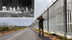 Polska buduje drugi płot na granicy z Białorusią!