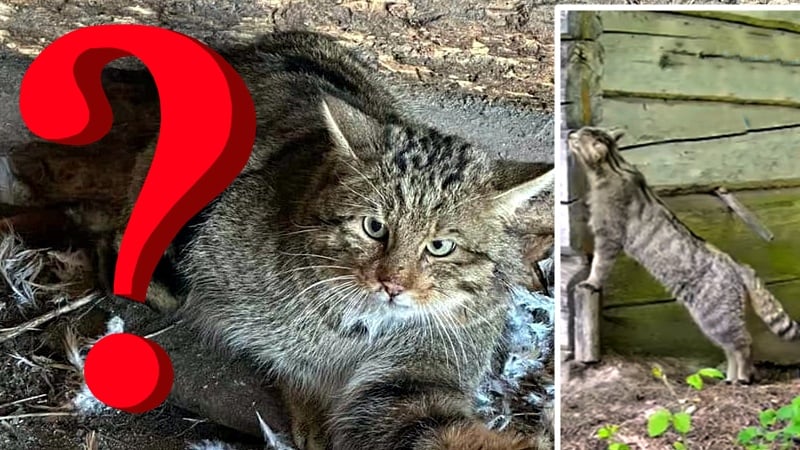 Fot: Narodowy Park "Prypeć" / Onliner.by