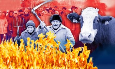 Krowie bunty w Rosji! Minister ucieka przed rozwścieczoną farmerką (WIDEO)