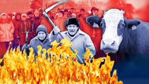 Krowie bunty w Rosji! Minister ucieka przed rozwścieczoną farmerką (WIDEO)