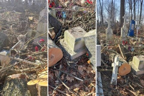 Urzędnicy z piłami spustoszyli historyczny cmentarz w Brześciu