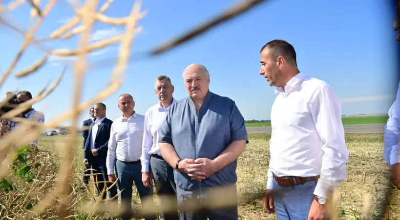 Lukaszenka na polu