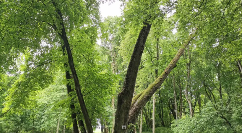 Tuhanowicze