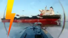 Sea Baby taranuje Blue! (WIDEO)