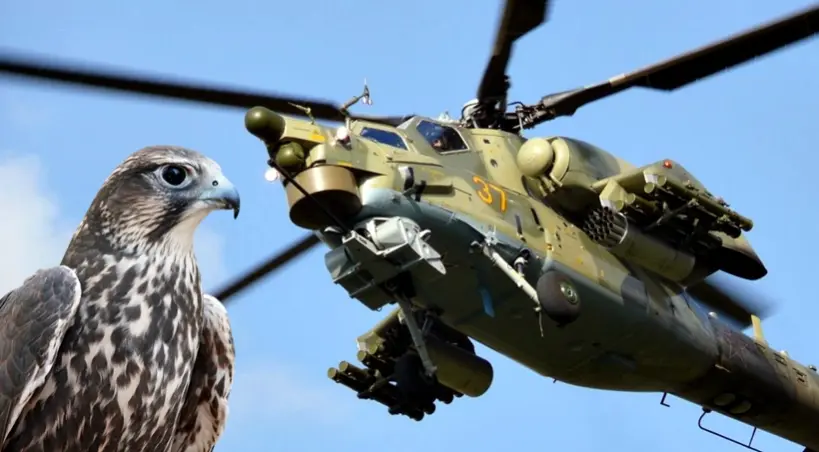 helikopter Mi 28 i rarog