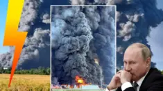 Grzyby aż do nieba! Totalny pogrom wokół Moskwy (WIDEO) Grzyby aż do nieba! Totalny pogrom wokół Moskwy (WIDEO)