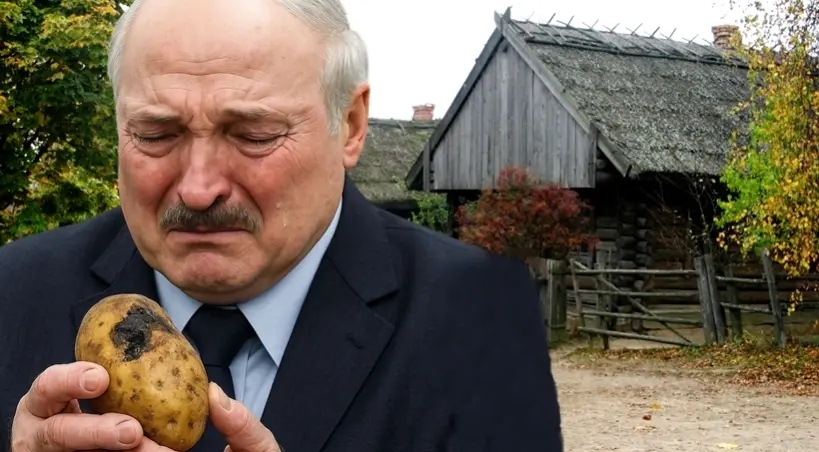 Łukaszenka ma problem z ziemniakami