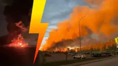 Ognista szarańcza spadła na kolejne miasta! (WIDEO)