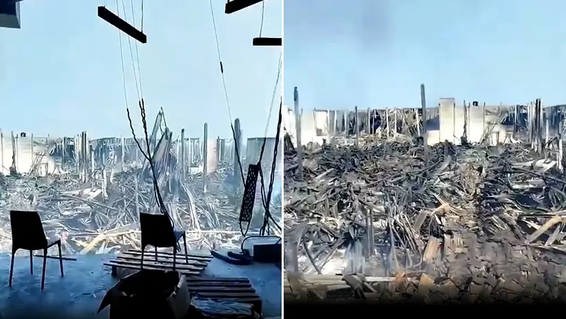 Strach podejść! Pierwszy raz pokazali z bliska (WIDEO)