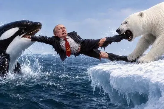 Putin orki 14