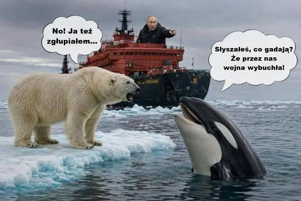 Putin orki 5