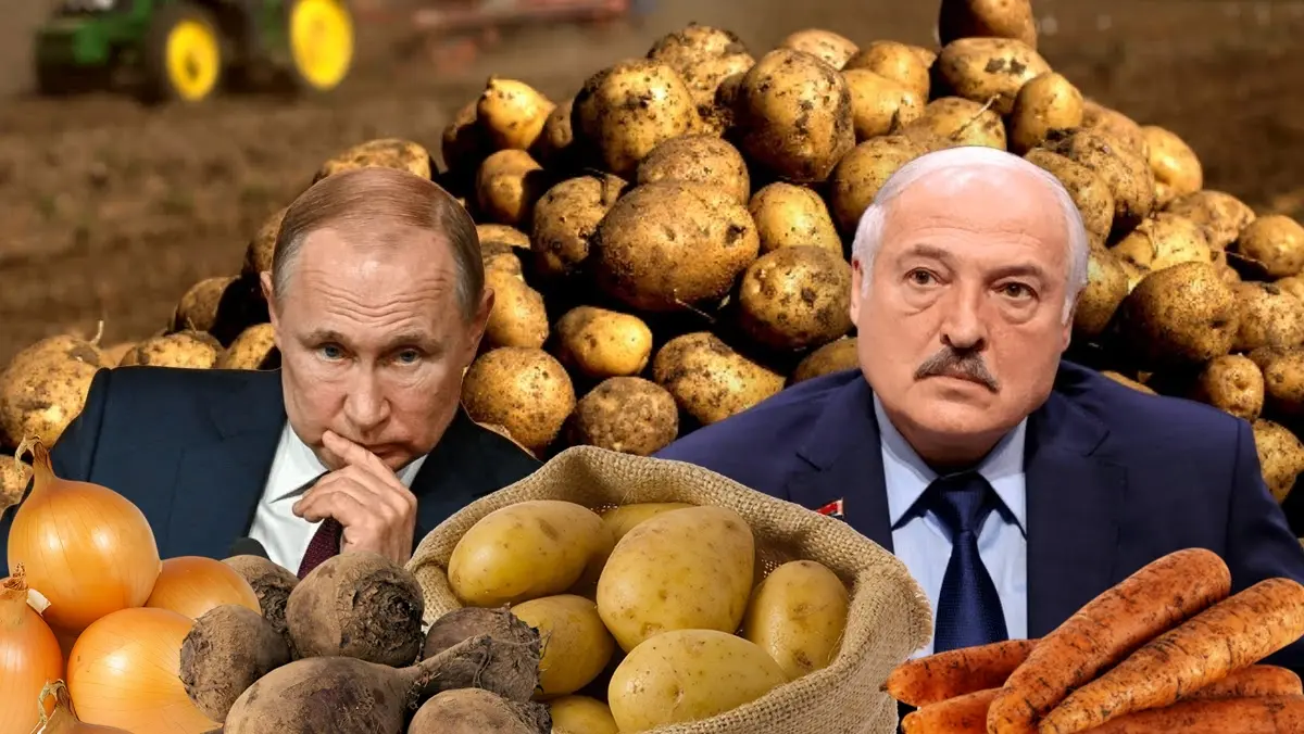 Macie kartofle? To schowajcie! W Rosji się zaczęło